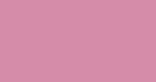 Rosa Rosa